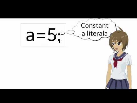Curs 6 : Tutorial incepatori C++ :Constante