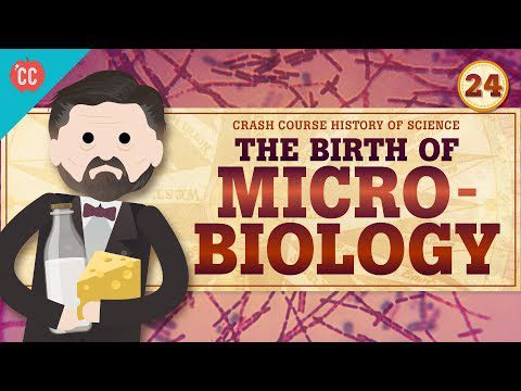 Microbiologie: curs intensiv de istorie a științei #24