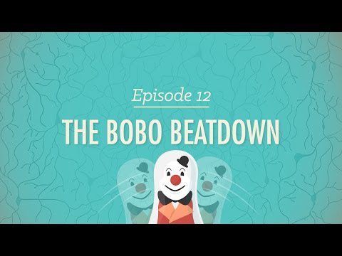 The Bobo Beatdown: Psihologie curs intensiv #12