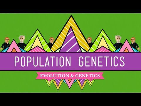 Genetica populației: Când Darwin L-a întâlnit pe Mendel – Curs intensiv de biologie #18
