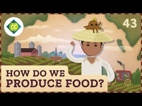 Cum producem alimente?  Curs intensiv de geografie #43