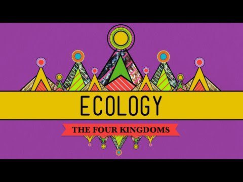 Ecologie – Reguli pentru a trăi pe Pământ: Curs intensiv de biologie #40