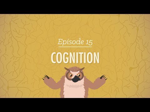 Cogniție – Cum poate mintea ta să te uimească și să te trădeze: Curs intensiv de psihologie #15