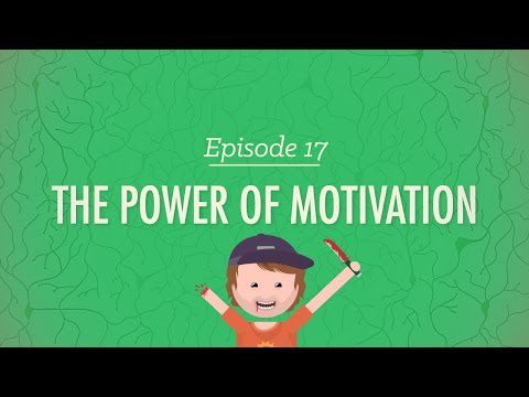 Puterea motivației: curs intensiv de psihologie #17