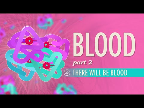 Sânge, Partea 2 – Va fi sânge: Curs intensiv Anatomie și fiziologie #30