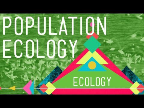 Ecologia populației: misterul țânțarilor din Texas – Curs intensiv de ecologie #2