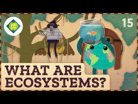 Ce sunt ecosistemele?  Curs intensiv de geografie #15