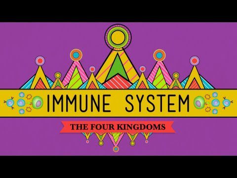 Sistemul tău imunitar: Natural Born Killer – Curs intensiv de biologie #32