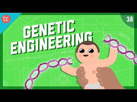 Schimbarea planurilor vieții – Inginerie genetică: Inginerie de curs intensiv #38