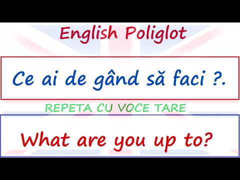 FRAZE UTILE  # INVATA ENGLEZA # Poliglot English