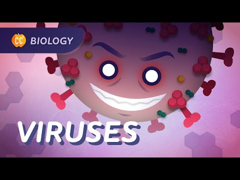Cum funcționează vaccinurile?: Viruși și vaccinuri: curs intensiv de biologie #39