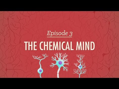 Mintea chimică: curs intensiv de psihologie #3