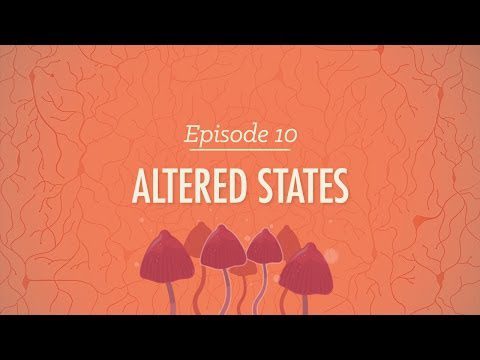 State alterate: Psihologie curs intensiv #10
