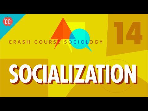 Socializare: curs intensiv de sociologie #14