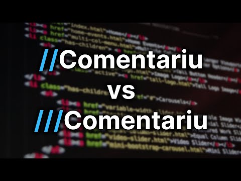 Comentarii — Programare C++ (4)