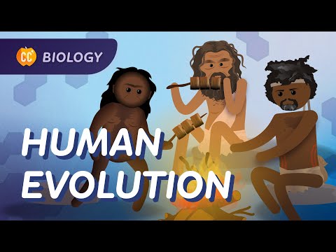 Cum au evoluat oamenii?  Curs intensiv de biologie #19