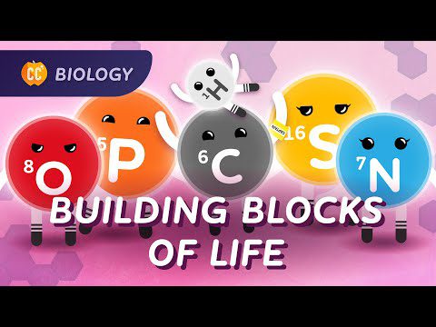 Din ce este făcută viața?  (Carbon și molecule biologice): Curs intensiv de biologie #20