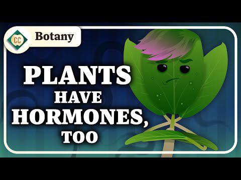 Celulele vegetale și hormonii: Botanica cursului intensiv #3