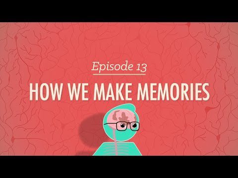 Cum creăm amintiri: Psihologie curs intensiv #13