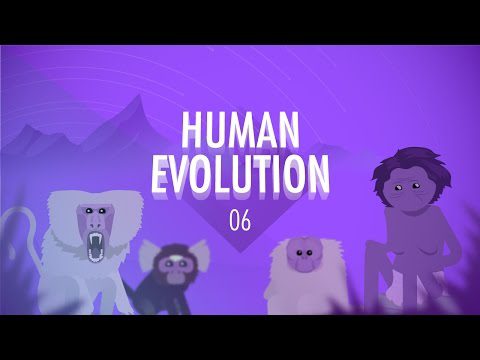 Evoluția umană: curs intensiv mare istorie #6