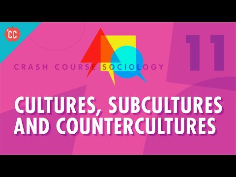 Culturi, subculturi și contraculturi: curs intensiv de sociologie #11
