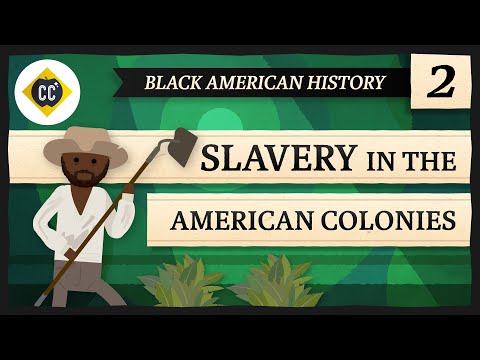 Sclavia în coloniile americane: curs intensiv istoria americanilor negre #2