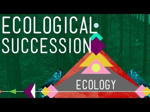 Succesiune ecologică: Schimbarea este bună – Curs intensiv Ecologie #6