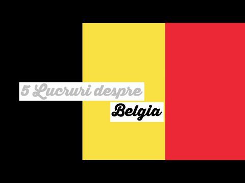 5 lucruri despre Belgia // Cursuri , integrare (zona flamanda)