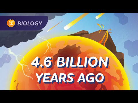 Cum a început viața?  (Istorie evolutivă): Curs intensiv de biologie #16