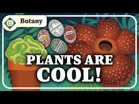 Ce este botanica?  Crash Course Botany #1