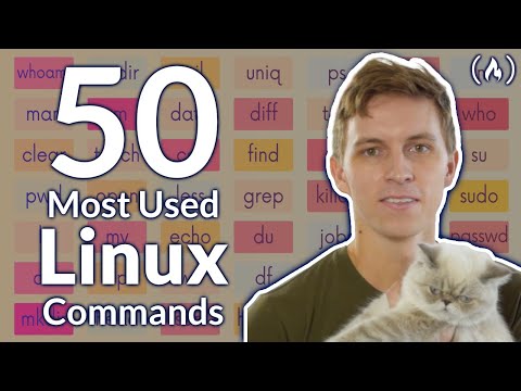 Cele mai populare 50 de comenzi Linux și terminale – Curs complet pentru începători