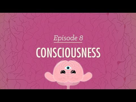 Conștiință: curs intensiv de psihologie #8