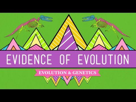 Evoluție: este un lucru – Curs intensiv de biologie #20