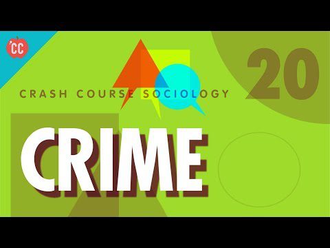 Crima: curs intensiv de sociologie #20