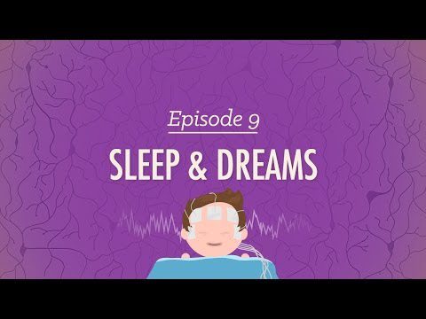 A dormi, poate să visezi: curs intensiv de psihologie #9