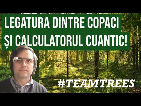 Legatura dintre copaci si calculatorul cuantic #TeamTrees